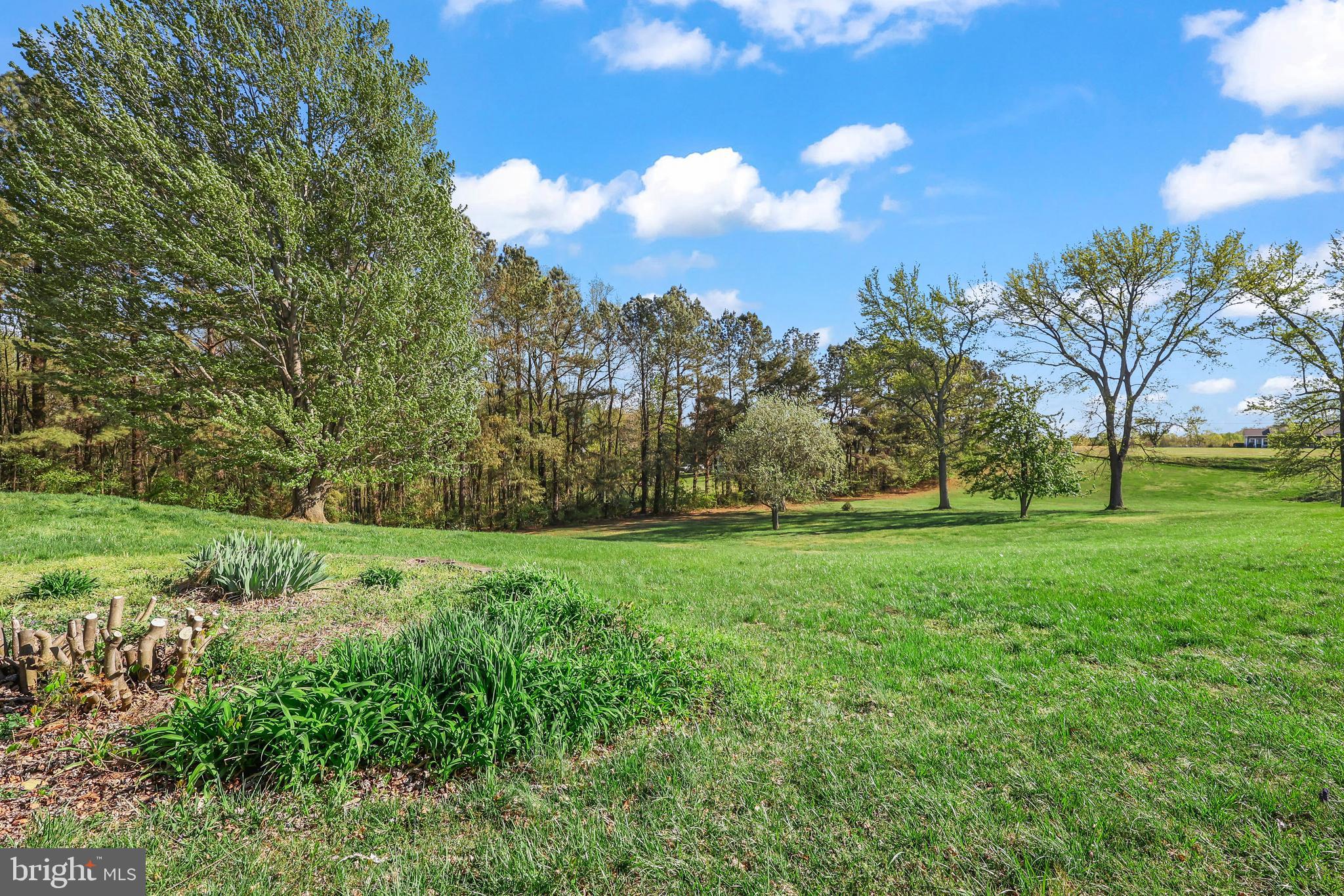 874 Truslow Road Fredericksburg, VA 22406 - Photo 50 of 53