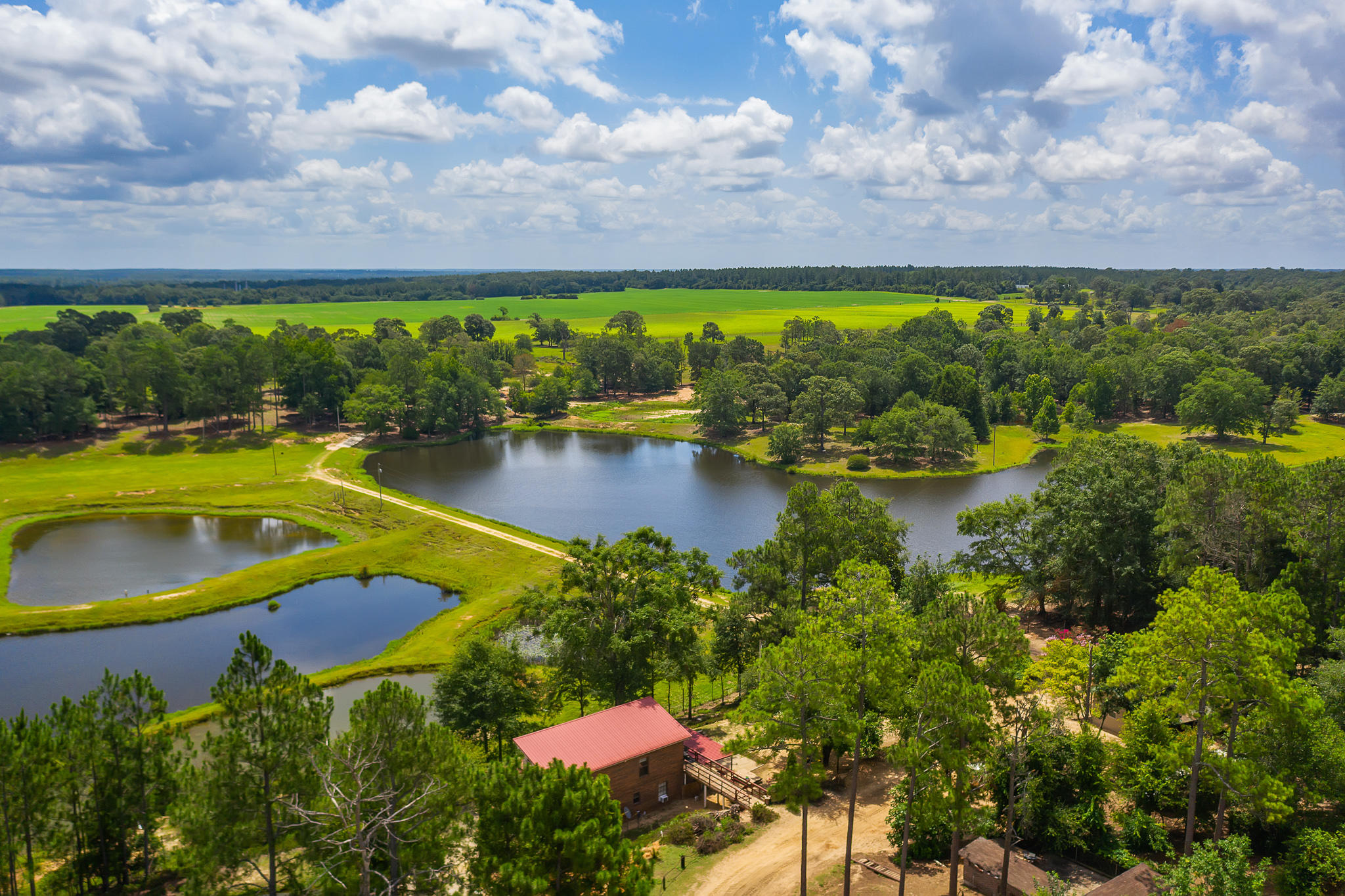 4439 Wells Pond Road Jay, FL 32565 - Photo 2 of 56 Gallery Image 2