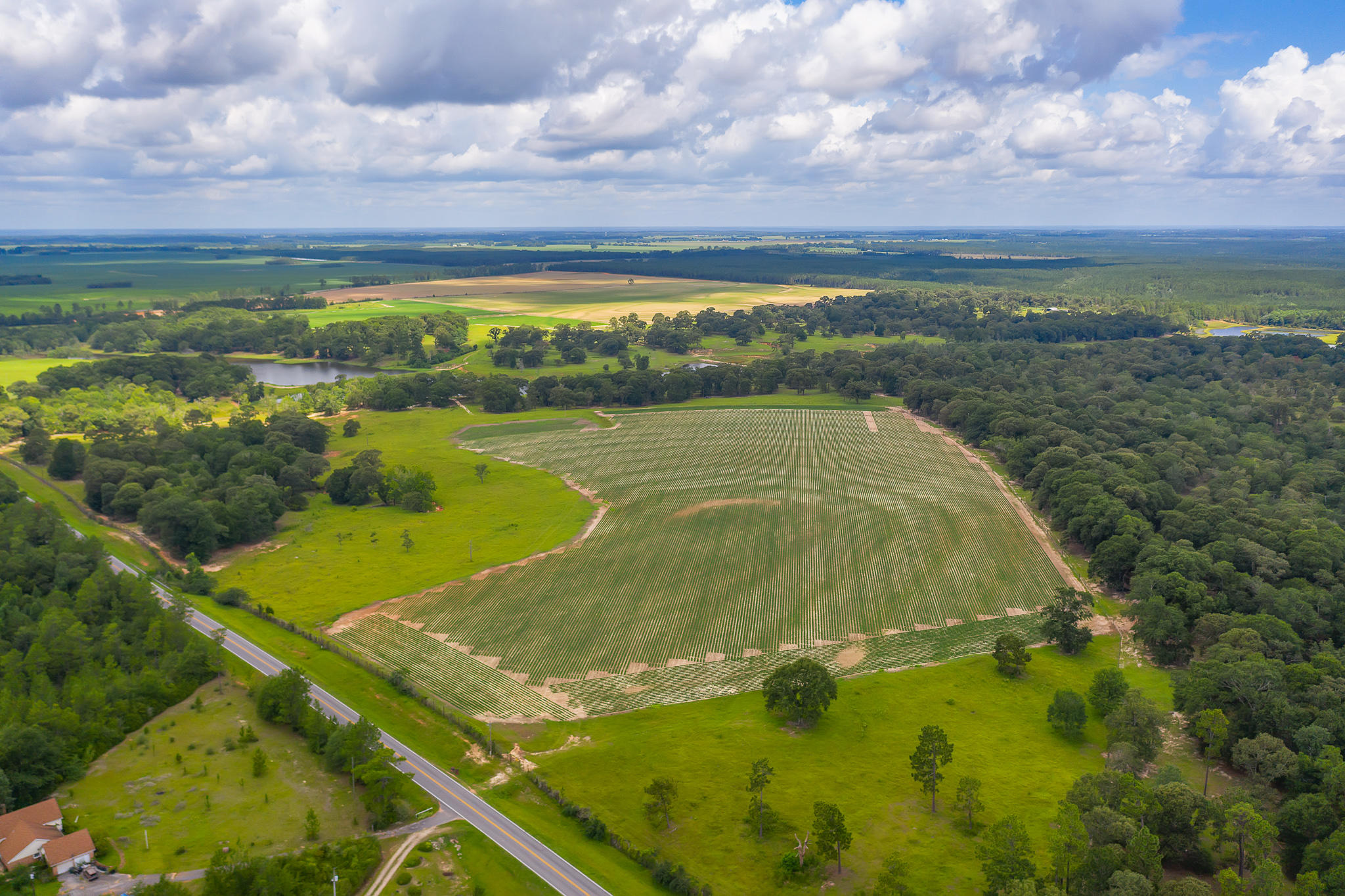 4439 Wells Pond Road Jay, FL 32565 - Photo 15 of 56 Gallery Image 15