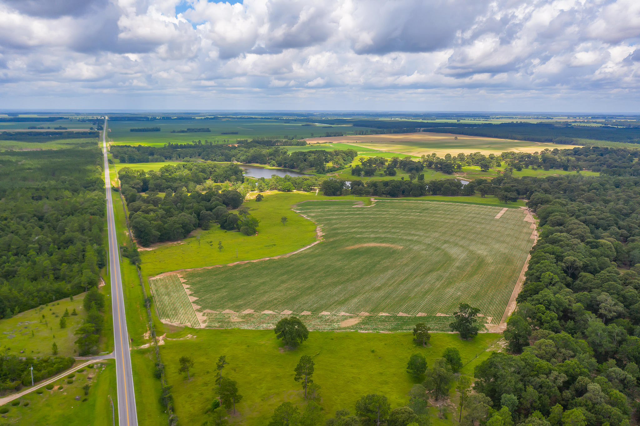 4439 Wells Pond Road Jay, FL 32565 - Photo 16 of 56 Gallery Image 16