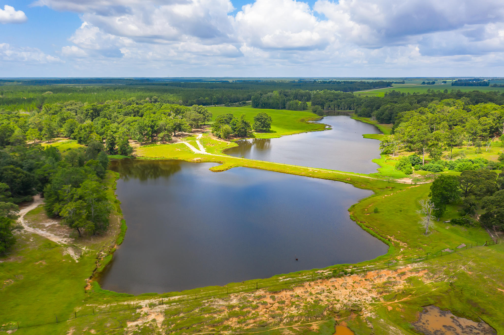 4439 Wells Pond Road Jay, FL 32565 - Photo 19 of 56 Gallery Image 19