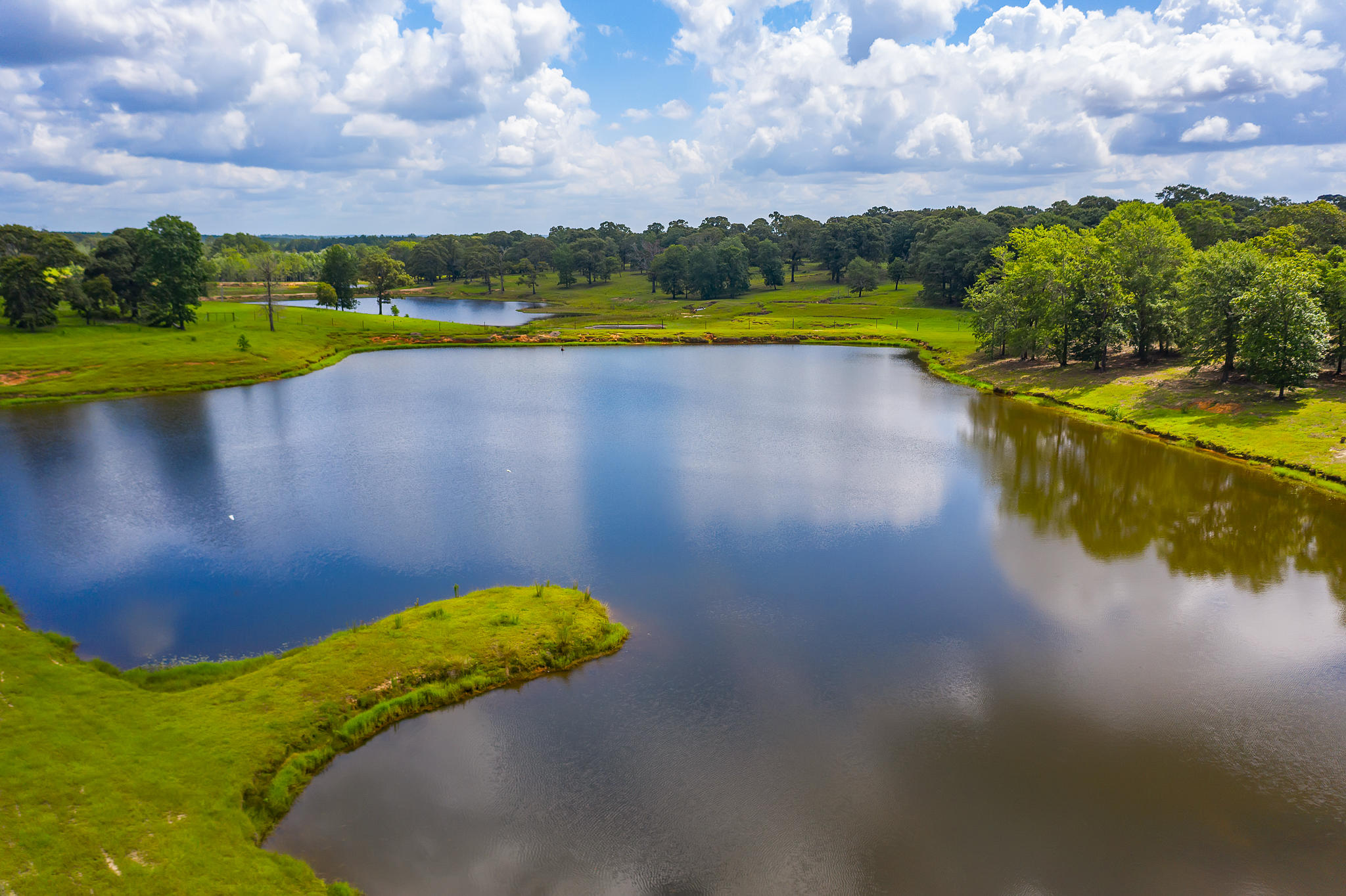 4439 Wells Pond Road Jay, FL 32565 - Photo 20 of 56 Gallery Image 20