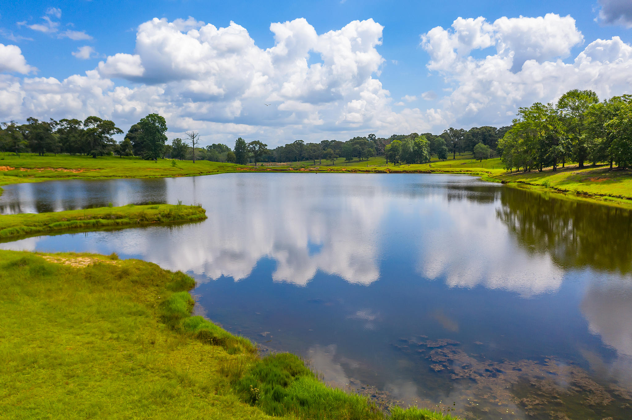 4439 Wells Pond Road Jay, FL 32565 - Photo 3 of 56 Gallery Image 3