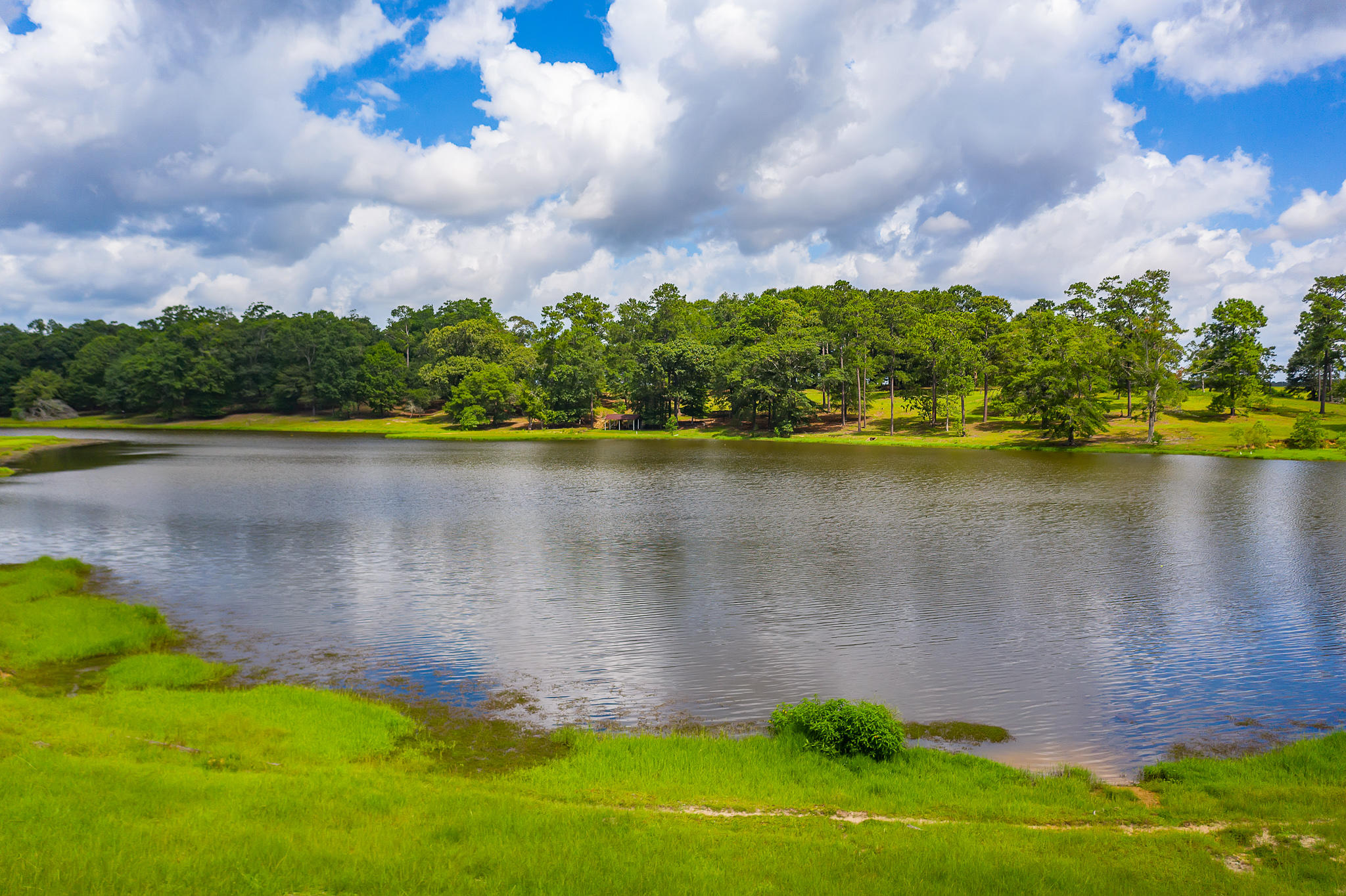 4439 Wells Pond Road Jay, FL 32565 - Photo 22 of 56 Gallery Image 22