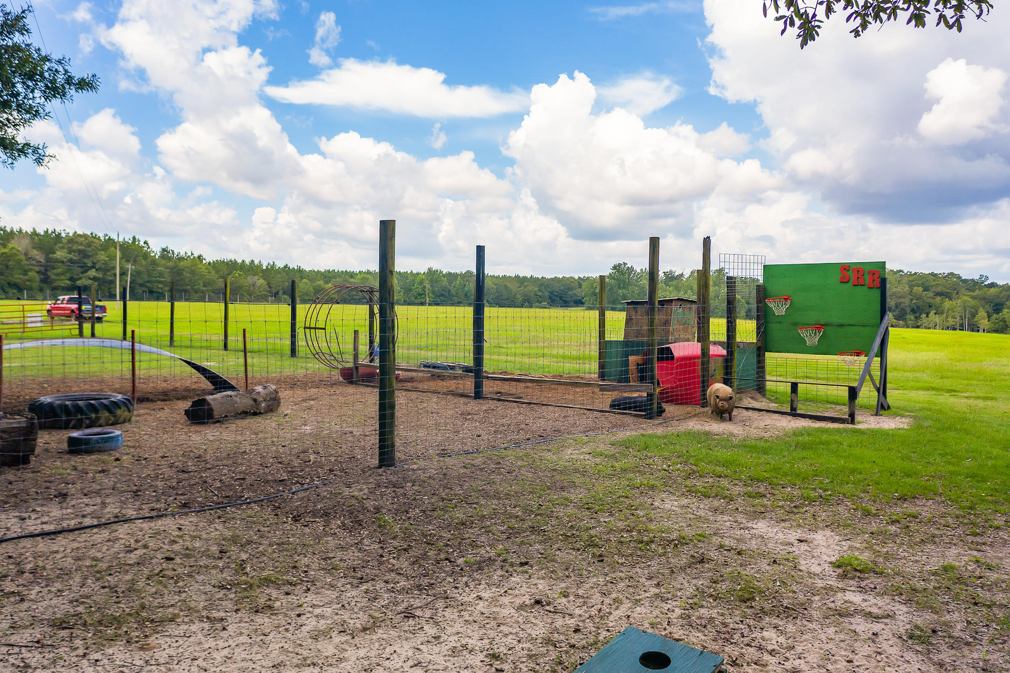 4439 Wells Pond Road Jay, FL 32565 - Photo 35 of 56 Gallery Image 35