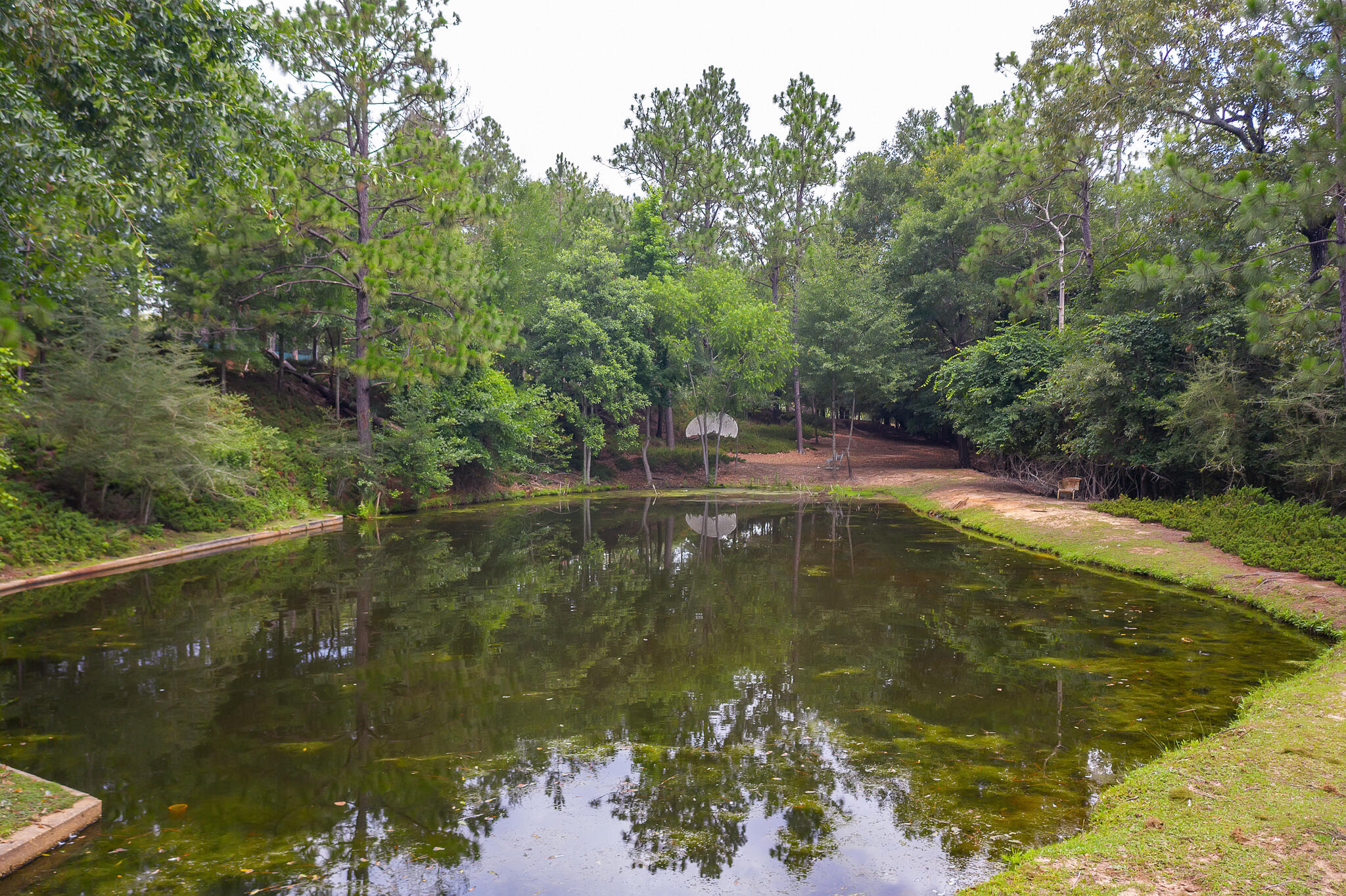 4439 Wells Pond Road Jay, FL 32565 - Photo 37 of 56 Gallery Image 37