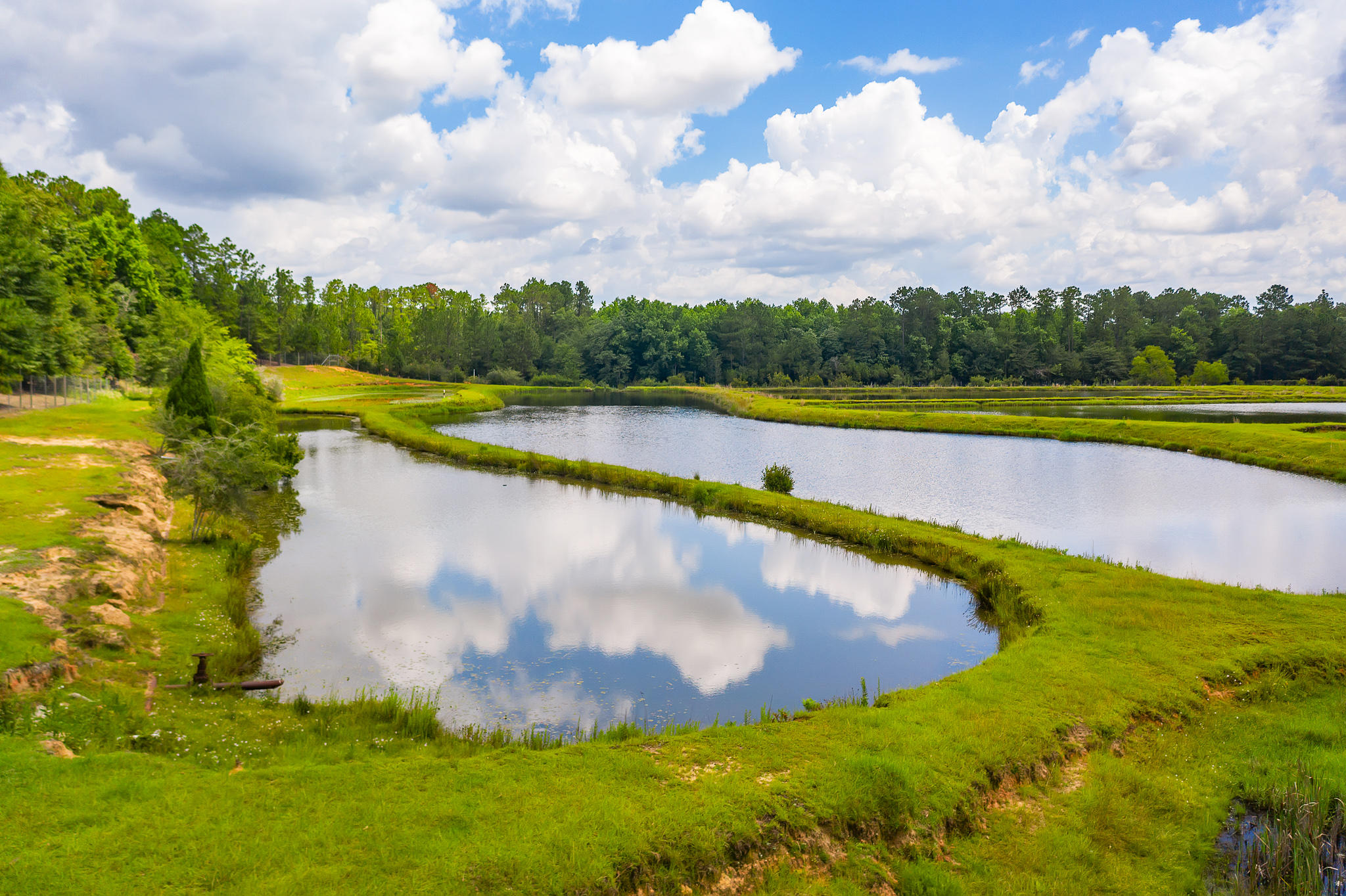 4439 Wells Pond Road Jay, FL 32565 - Photo 39 of 56 Gallery Image 39