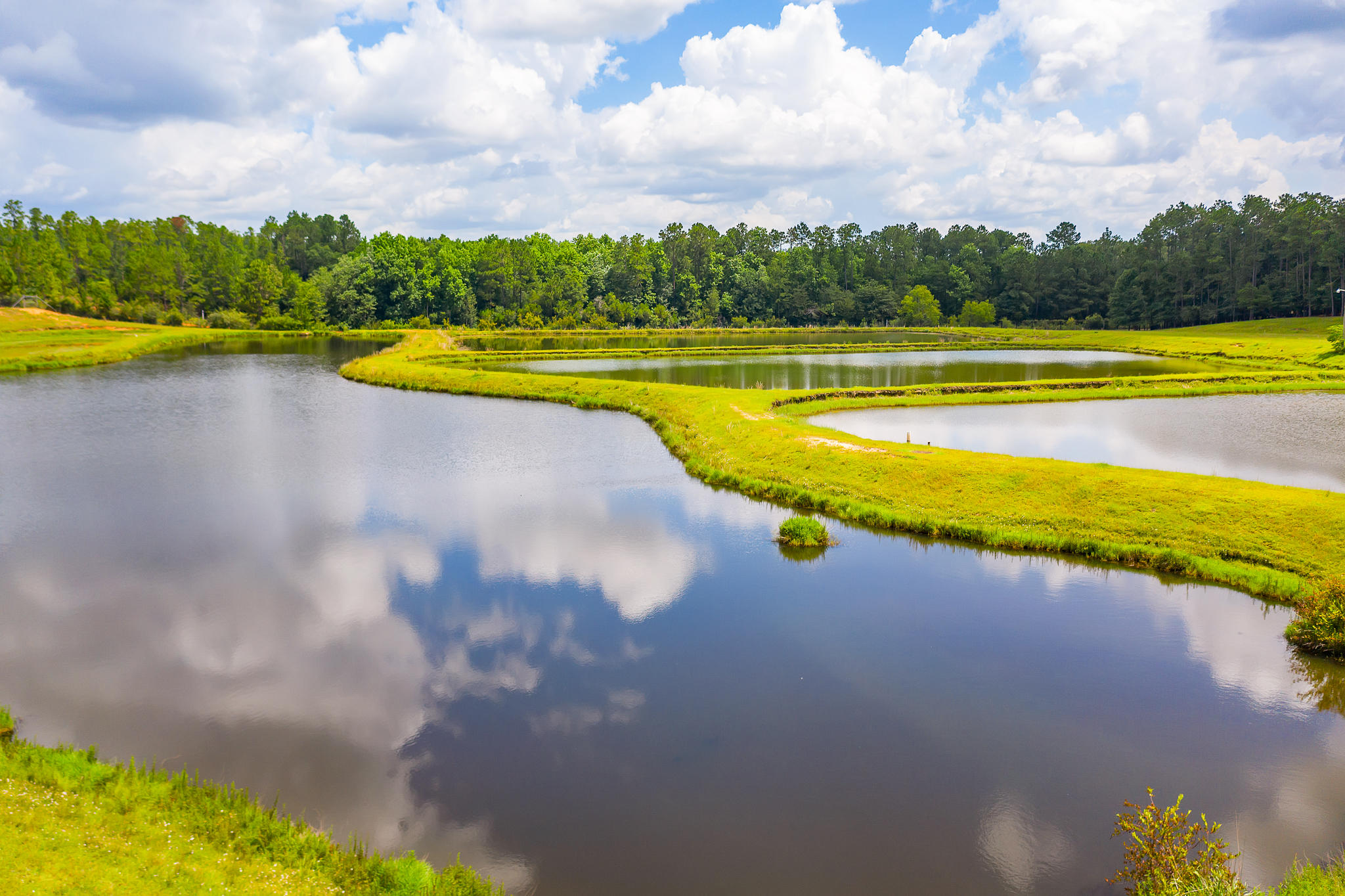 4439 Wells Pond Road Jay, FL 32565 - Photo 41 of 56 Gallery Image 41