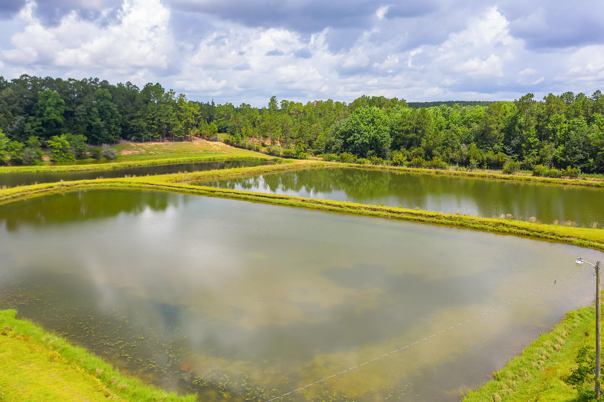 4439 Wells Pond Road Jay, FL 32565 - Photo 43 of 56 Gallery Image 43