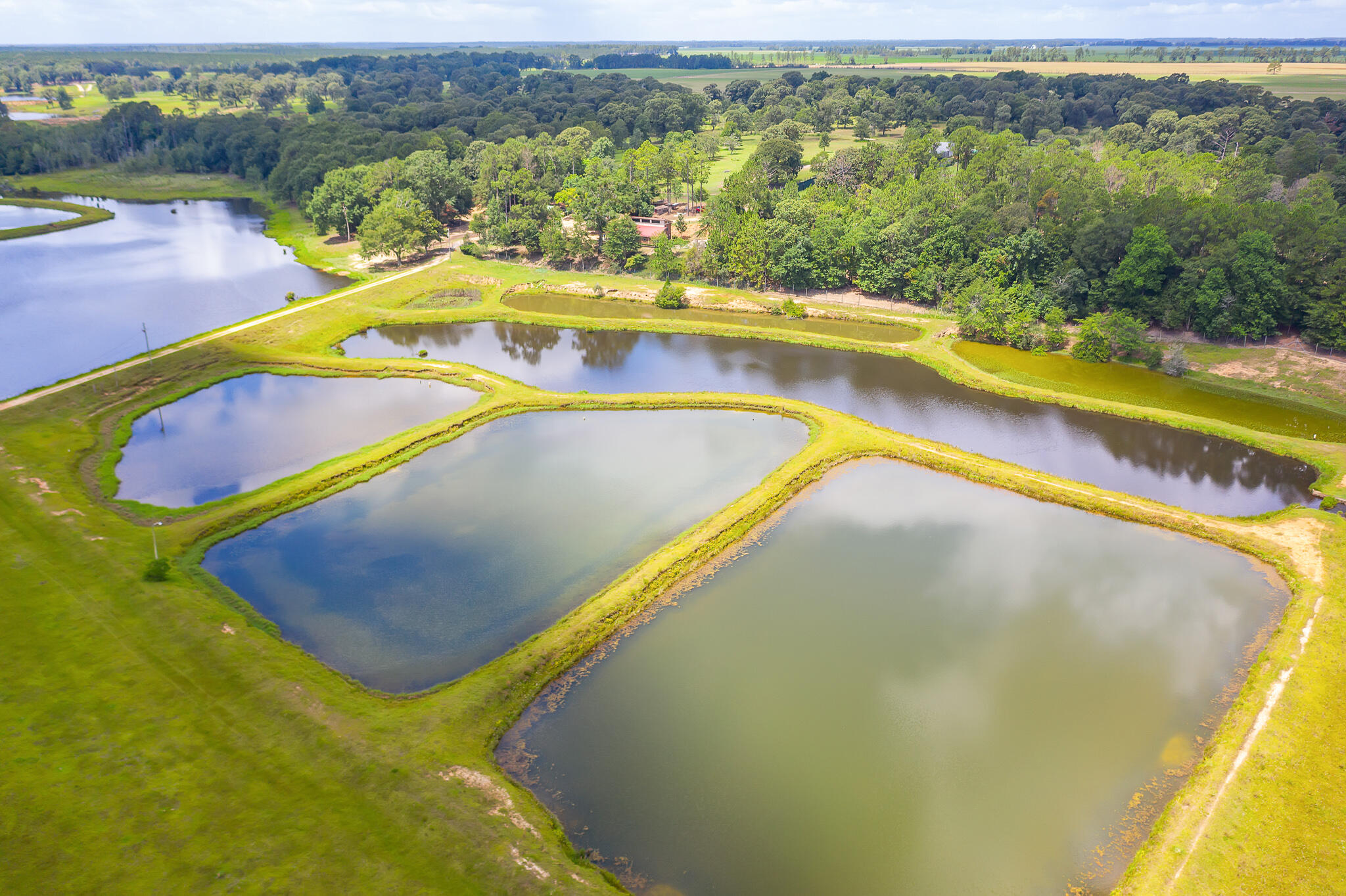 4439 Wells Pond Road Jay, FL 32565 - Photo 44 of 56 Gallery Image 44