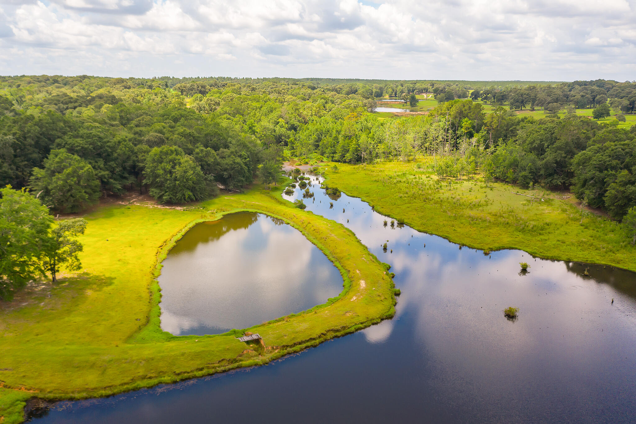 4439 Wells Pond Road Jay, FL 32565 - Photo 46 of 56 Gallery Image 46