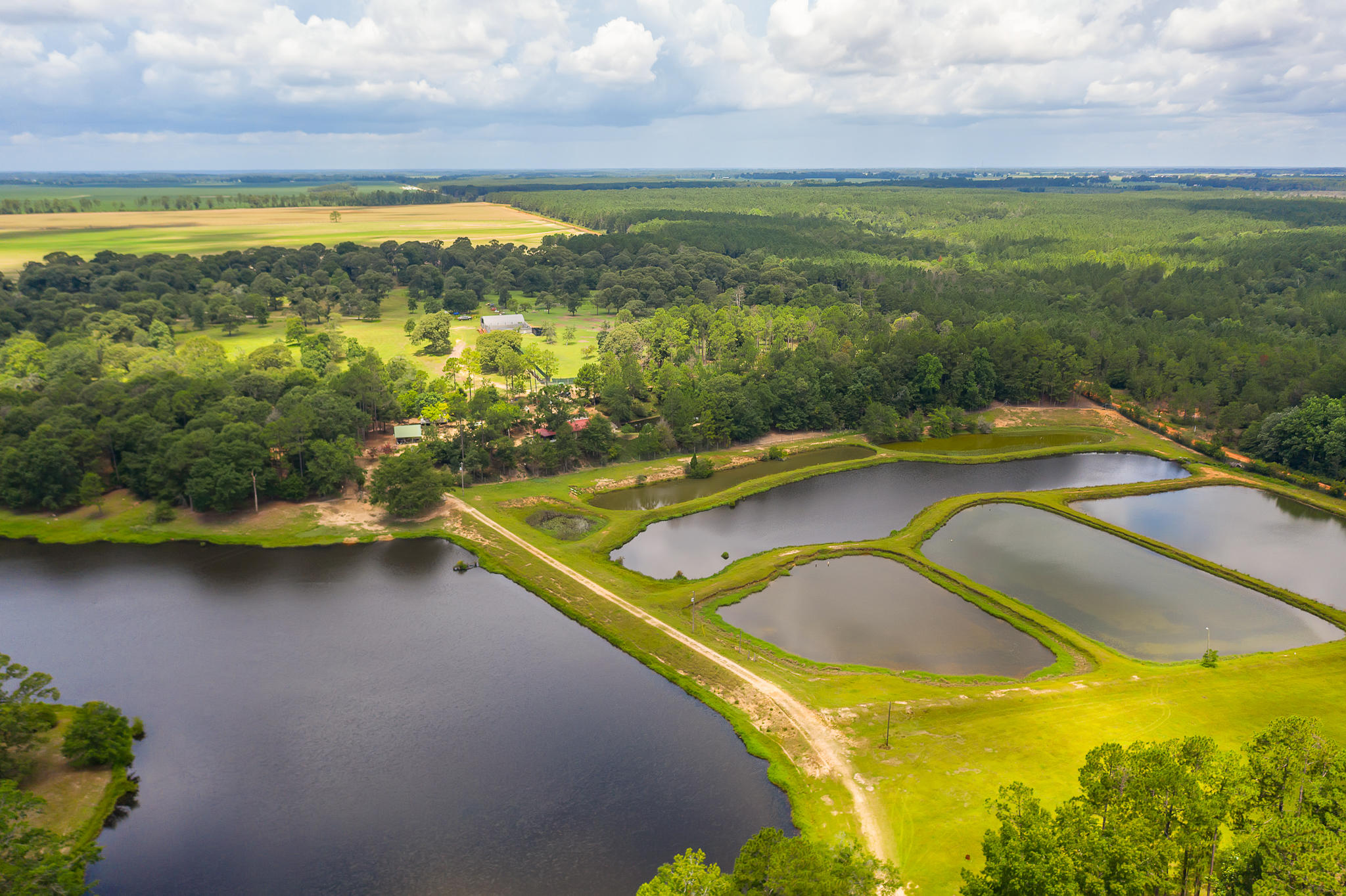 4439 Wells Pond Road Jay, FL 32565 - Photo 47 of 56 Gallery Image 47