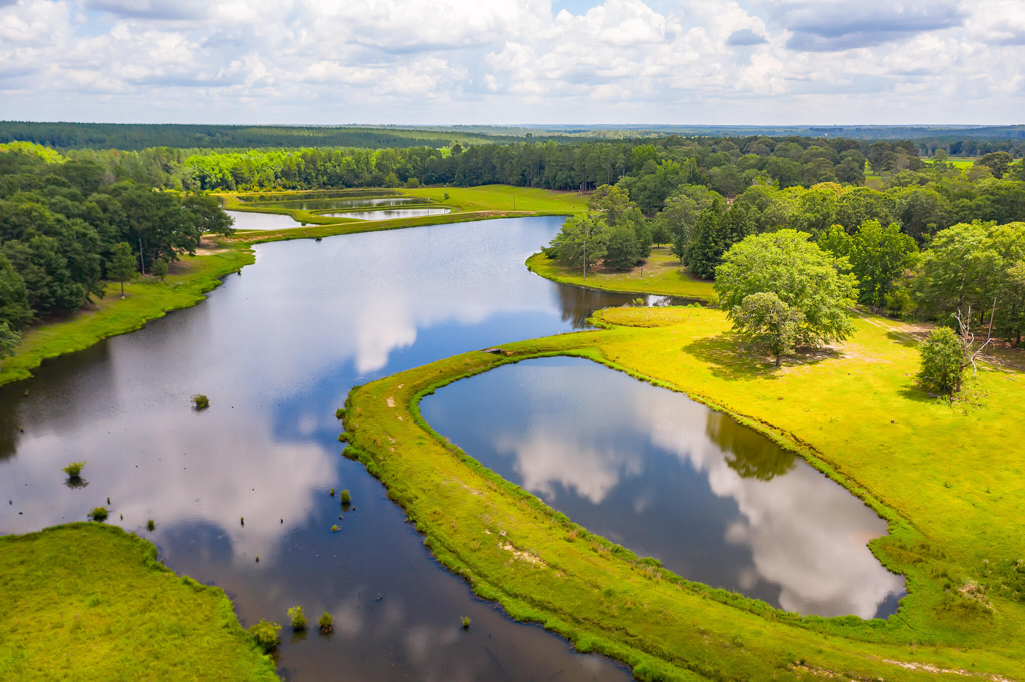 4439 Wells Pond Road Jay, FL 32565 - Photo 10 of 56 Gallery Image 10