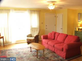 613 Vernon Road Springfield, PA 19064 - Photo 3 of 6