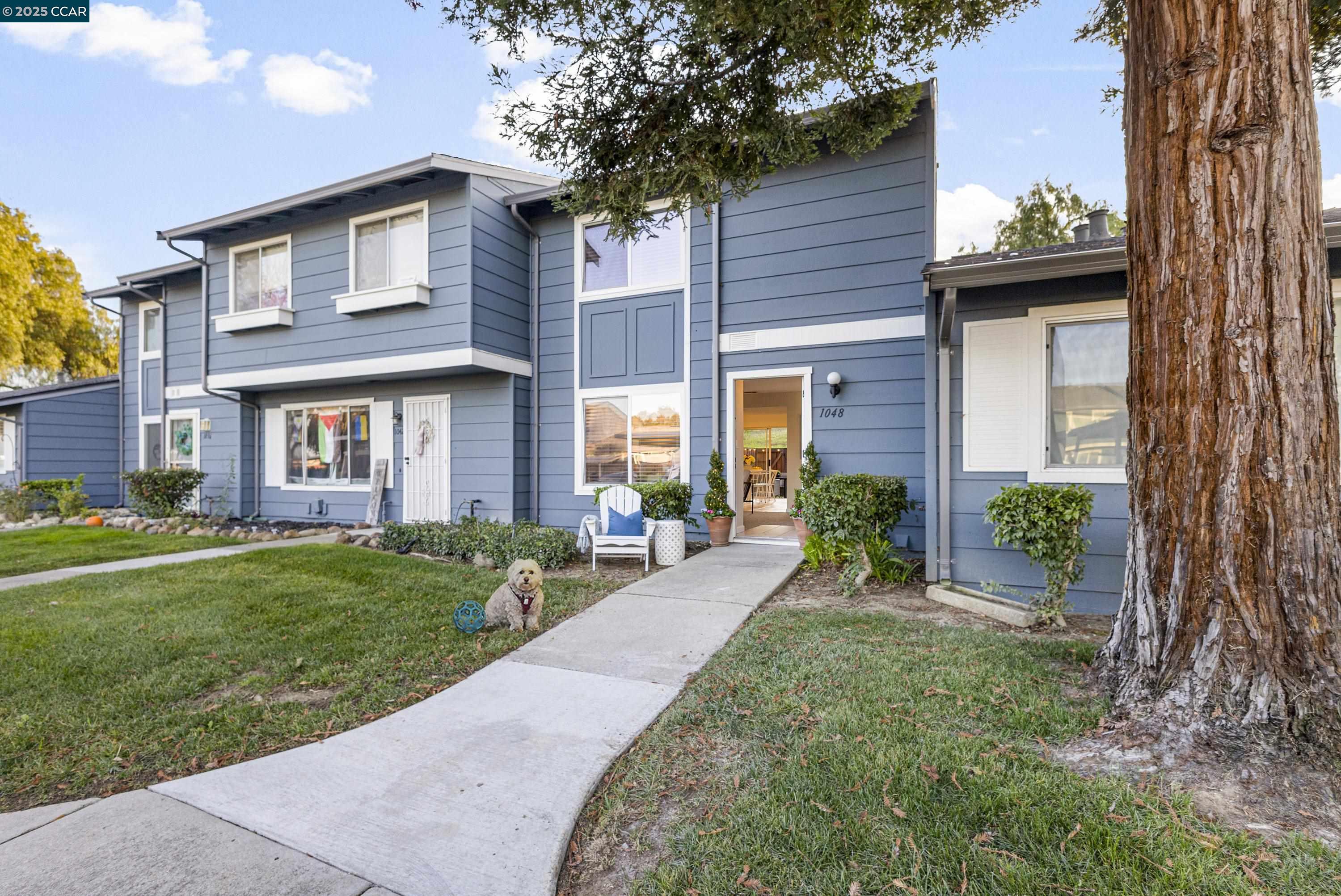 1048 Spring Valley Common Livermore, CA 94551 - Photo 2 of 37 a view of a brick house with a yard plants and large tree