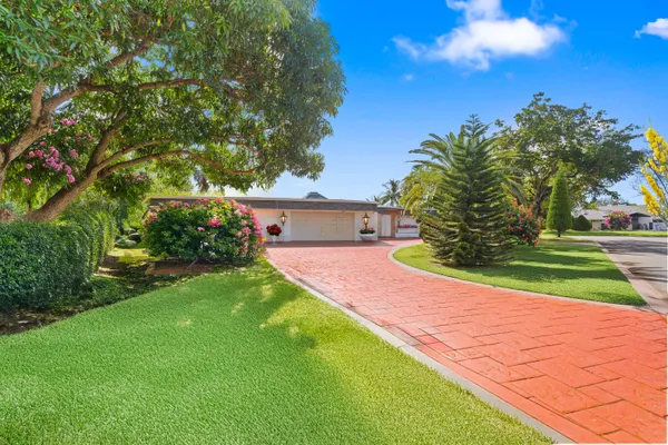 a view of a yard with plants and a large tree