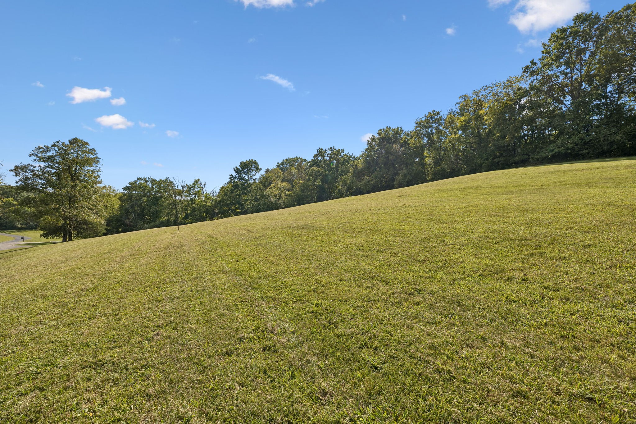 110 Hidden Valley Road Arrington, TN 37014 - Photo 4 of 24 Gallery Image 4