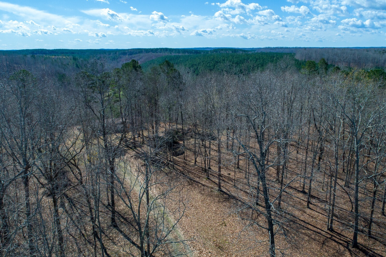 8061 Keys Branch Road Nunnelly, TN 37137 - Photo 20 of 26 Gallery Image 20
