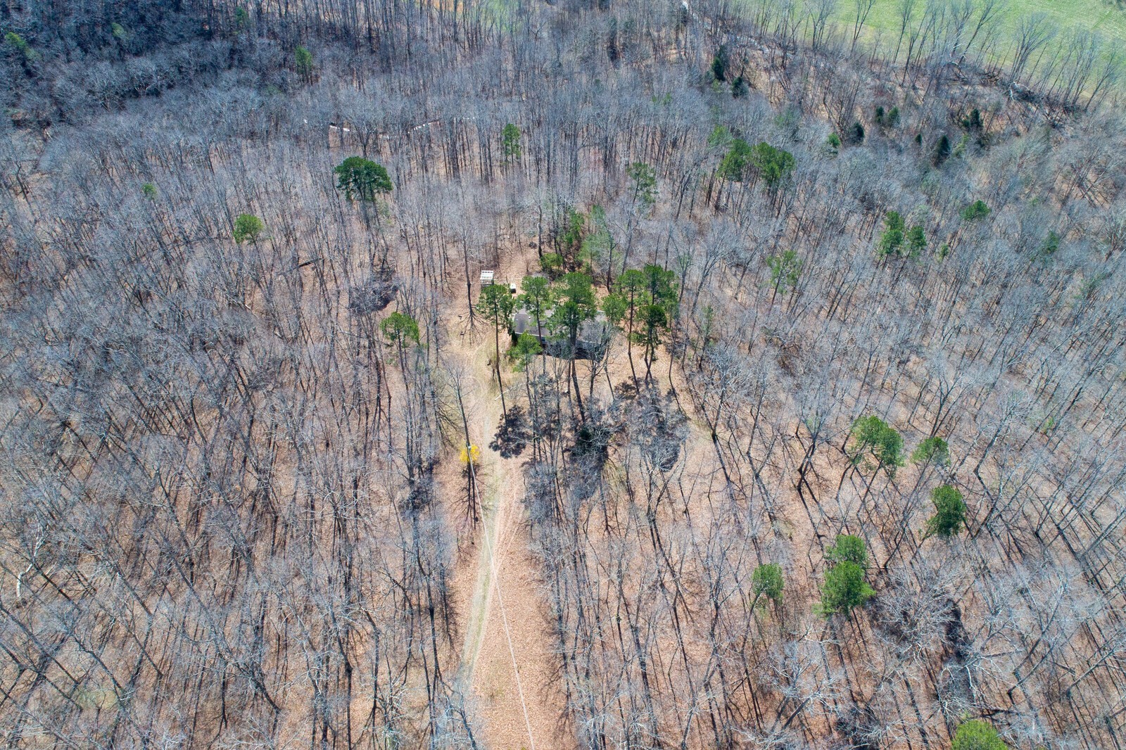 8061 Keys Branch Road Nunnelly, TN 37137 - Photo 23 of 26 Gallery Image 23