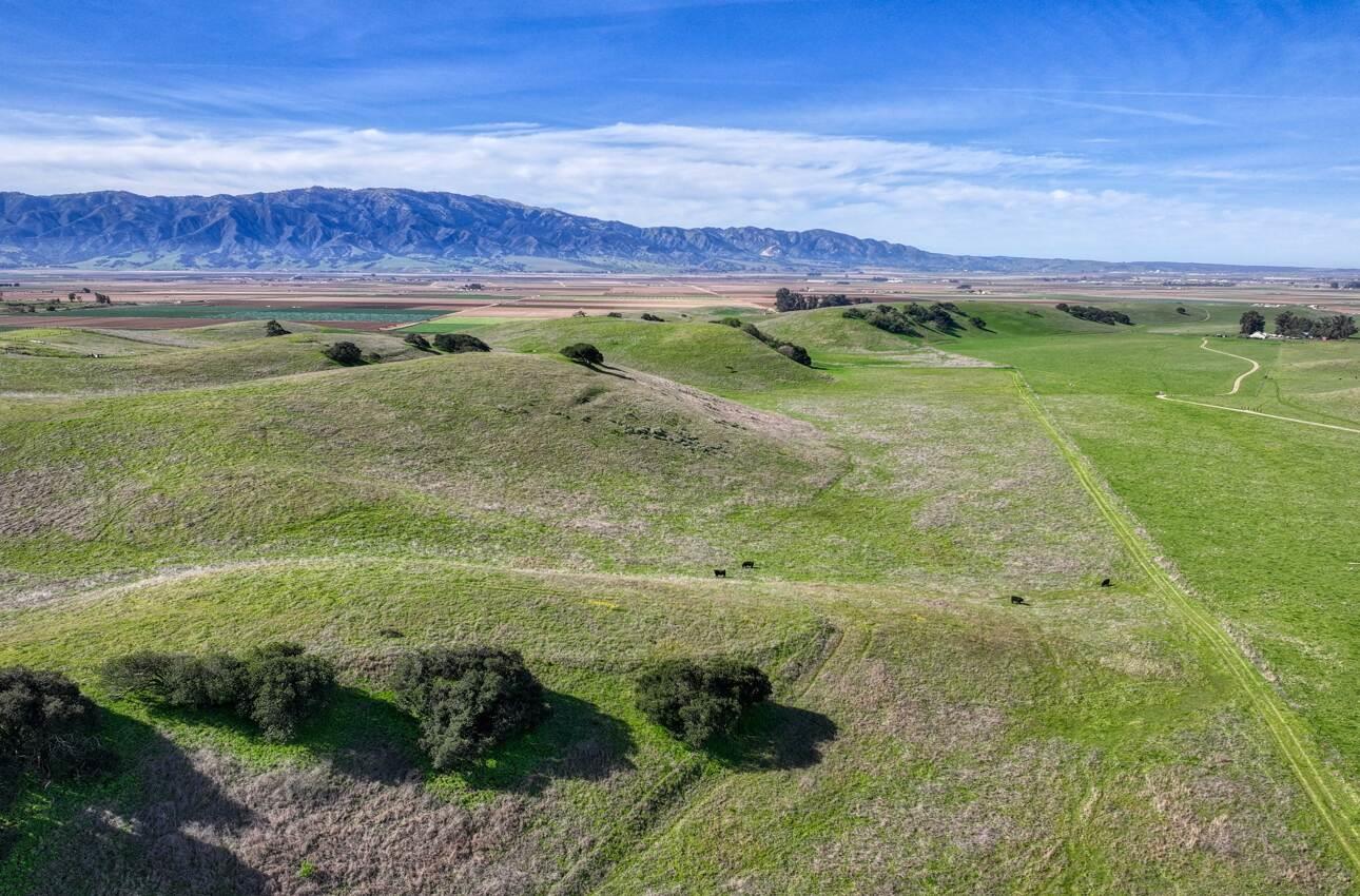 29155 Chualar Canyon Road Chualar, CA 93925 - Photo 5 of 13 a view of a lush green field