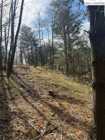 $29,900 | 101 Pleasant Home Road, Sparta, NC 28675