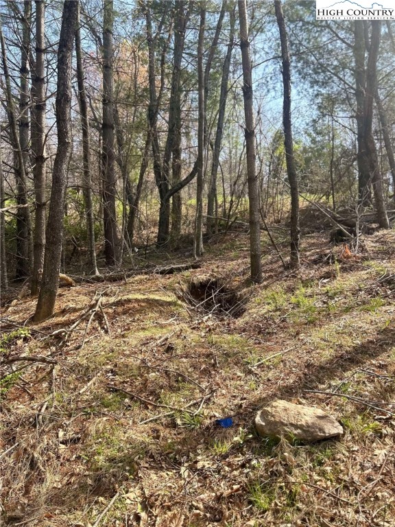 101 Pleasant Home Road Sparta, NC 28675 - Photo 5 of 10