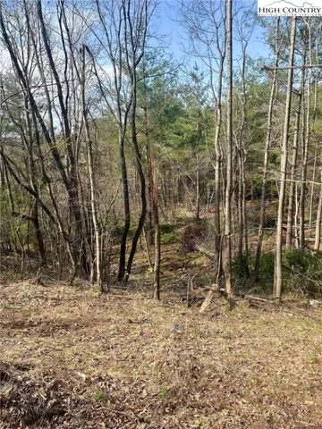 $29,900 | 101 Pleasant Home Road, Sparta, NC 28675