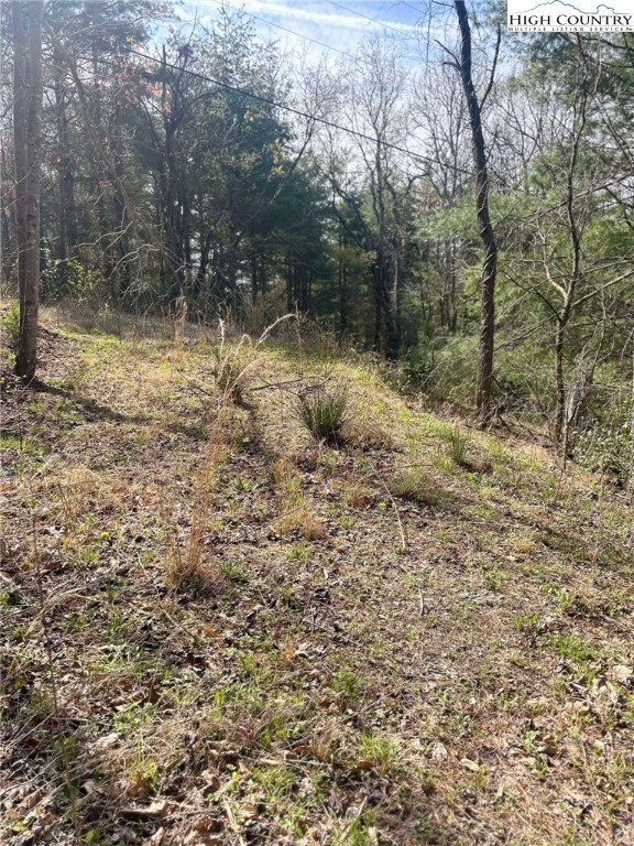 101 Pleasant Home Road Sparta, NC 28675 - Photo 8 of 10