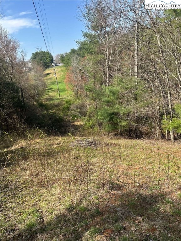 101 Pleasant Home Road Sparta, NC 28675 - Photo 9 of 10