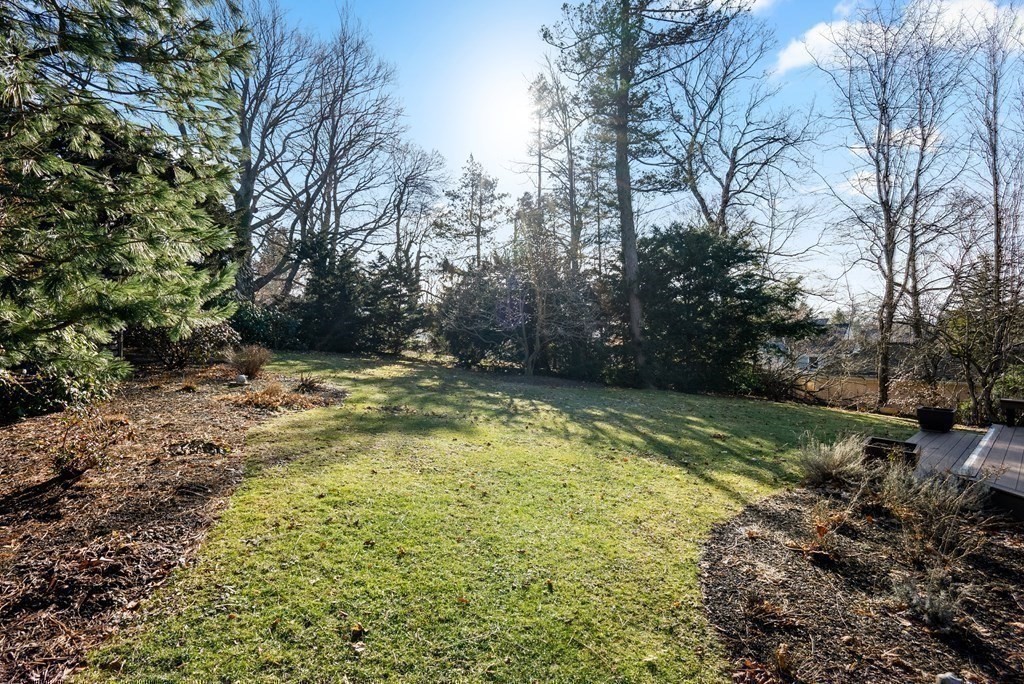 326 Highland Avenue Newton, MA 02465 - Photo 39 of 42 a view of a yard with trees