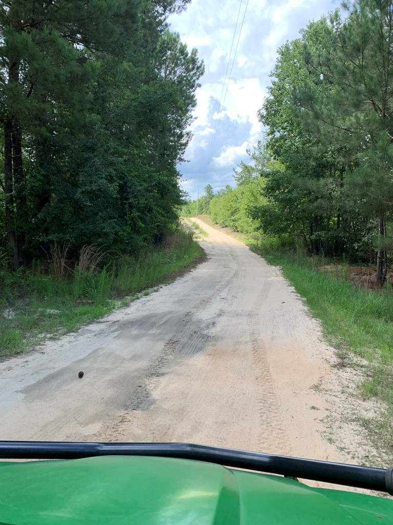 -paul Paul Road Monetta, SC 29105 - Photo 11 of 14