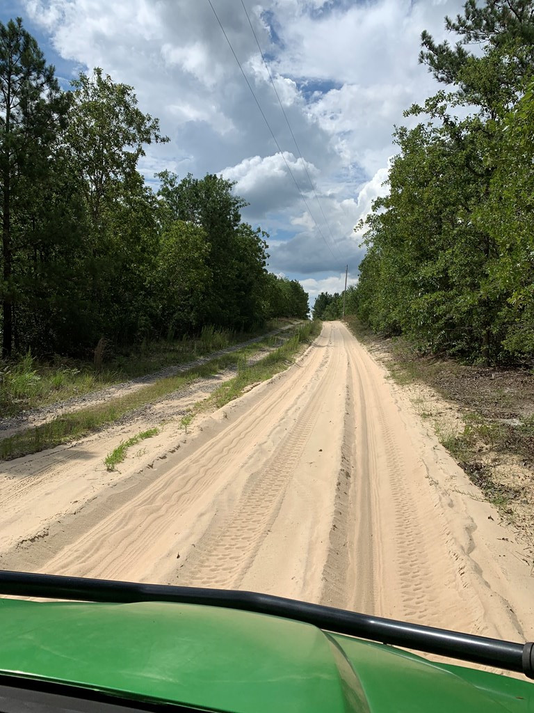-paul Paul Road Monetta, SC 29105 - Photo 12 of 14