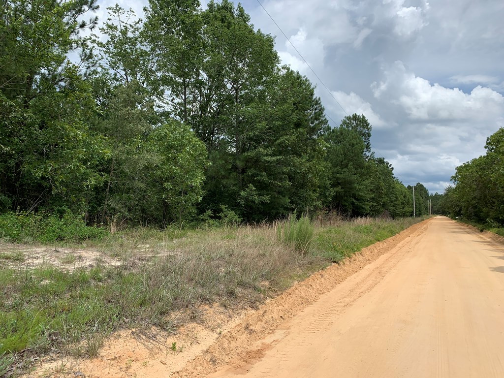 -paul Paul Road Monetta, SC 29105 - Photo 3 of 14