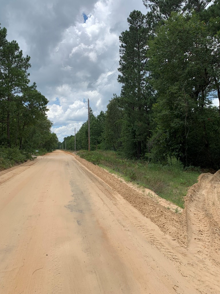 -paul Paul Road Monetta, SC 29105 - Photo 4 of 14