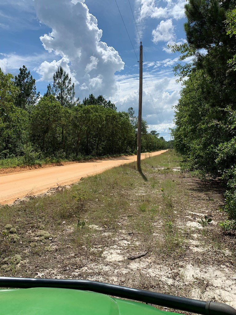 -paul Paul Road Monetta, SC 29105 - Photo 8 of 14