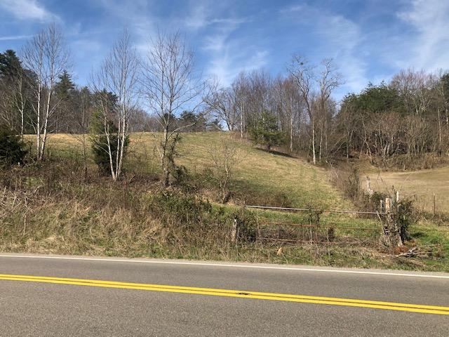 1.01 Wears Valley Road Sevierville, TN 37862 - Photo 2 of 10 View from WV Rd