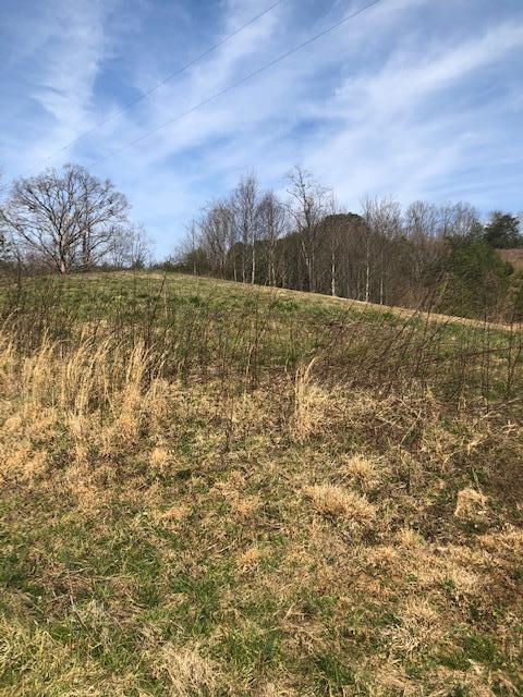 1.01 Wears Valley Road Sevierville, TN 37862 - Photo 5 of 10 front field