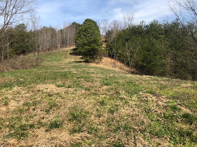 1.01 Wears Valley Road Sevierville, TN 37862 - Photo 9 of 10 Field 2