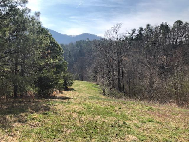 1.01 Wears Valley Road Sevierville, TN 37862 - Photo 10 of 10 View 2