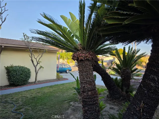 a view of a house with wooden wall