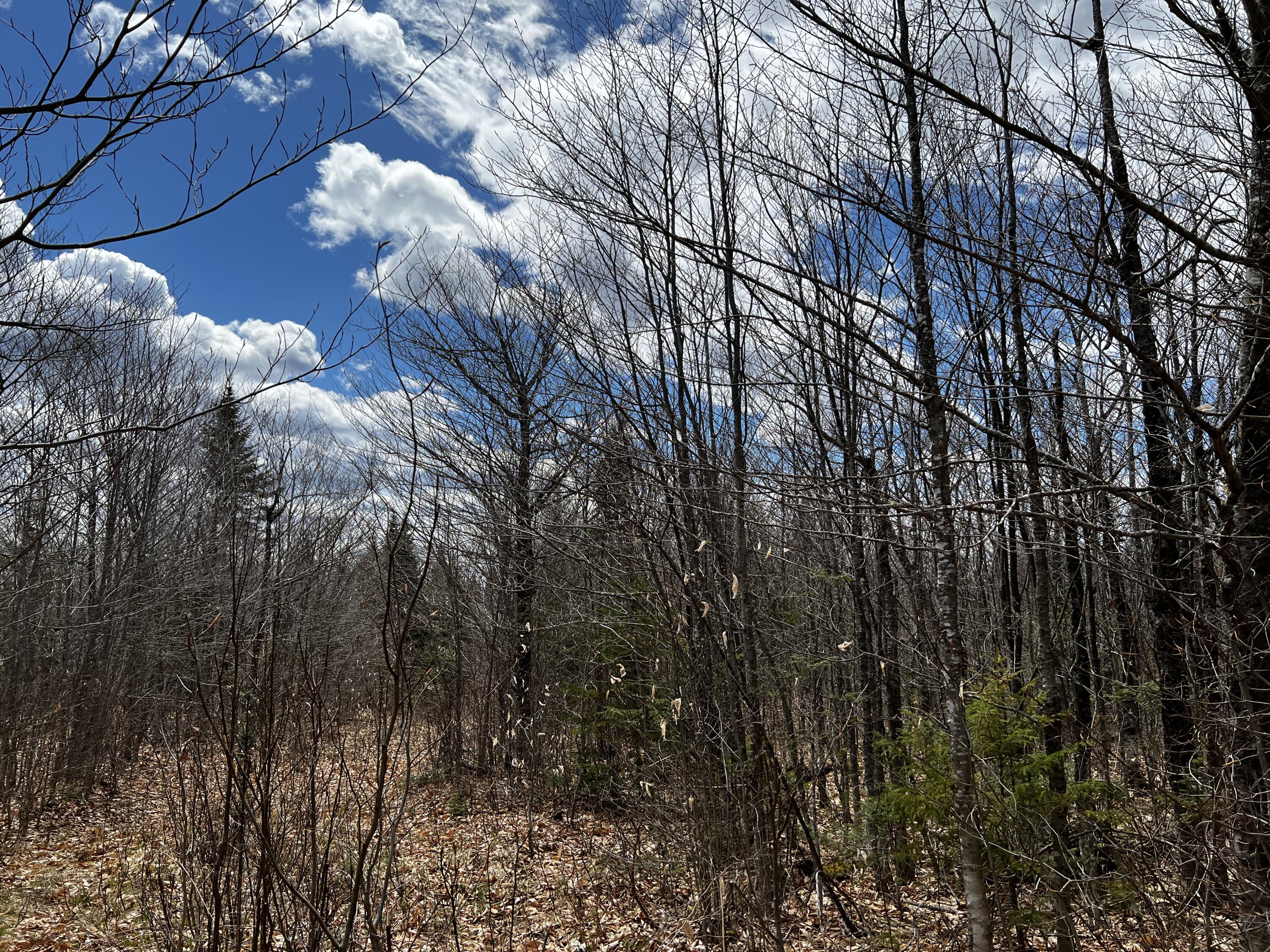Lot 2-18 Shin Pond Rd Mount Mount Chase, ME 04765 - Photo 57 of 59