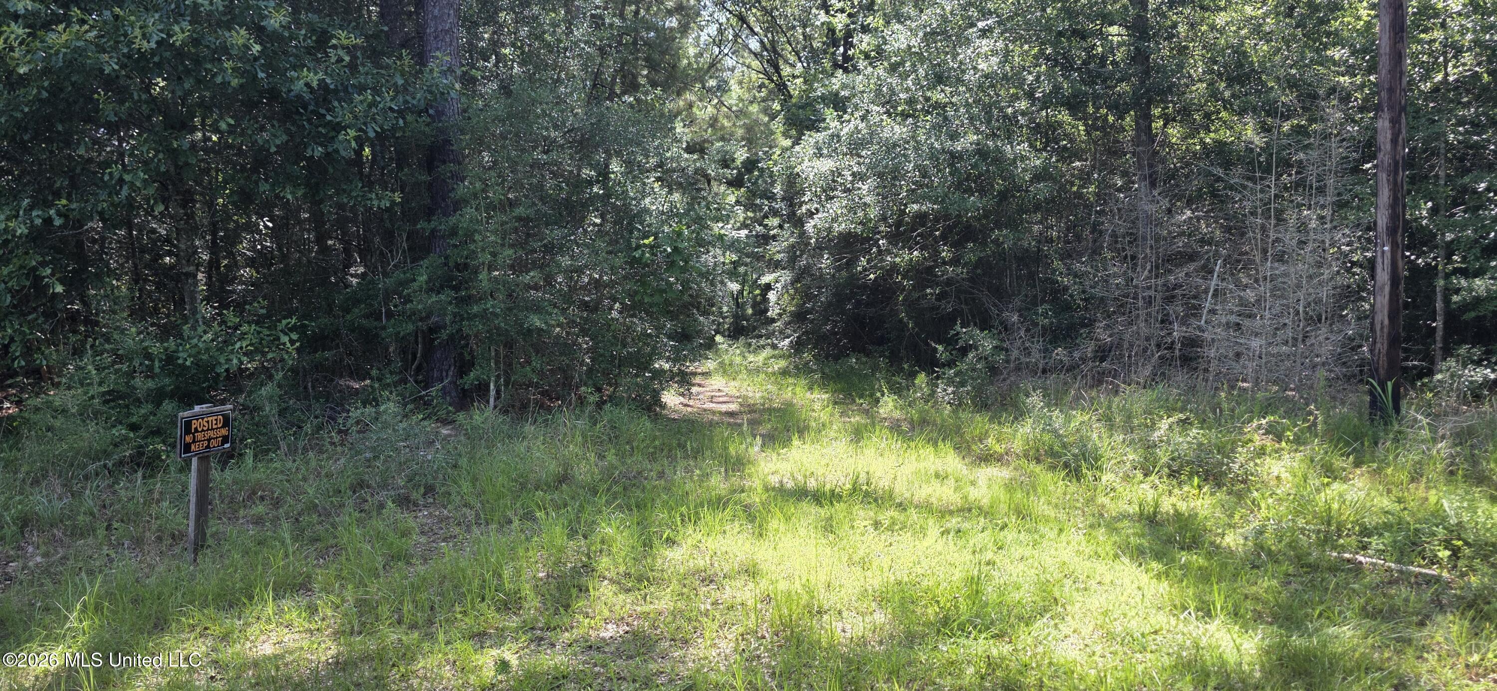 2046 Barto Leggett Road McComb, MS 39648 - Photo 22 of 29 20260623_160634