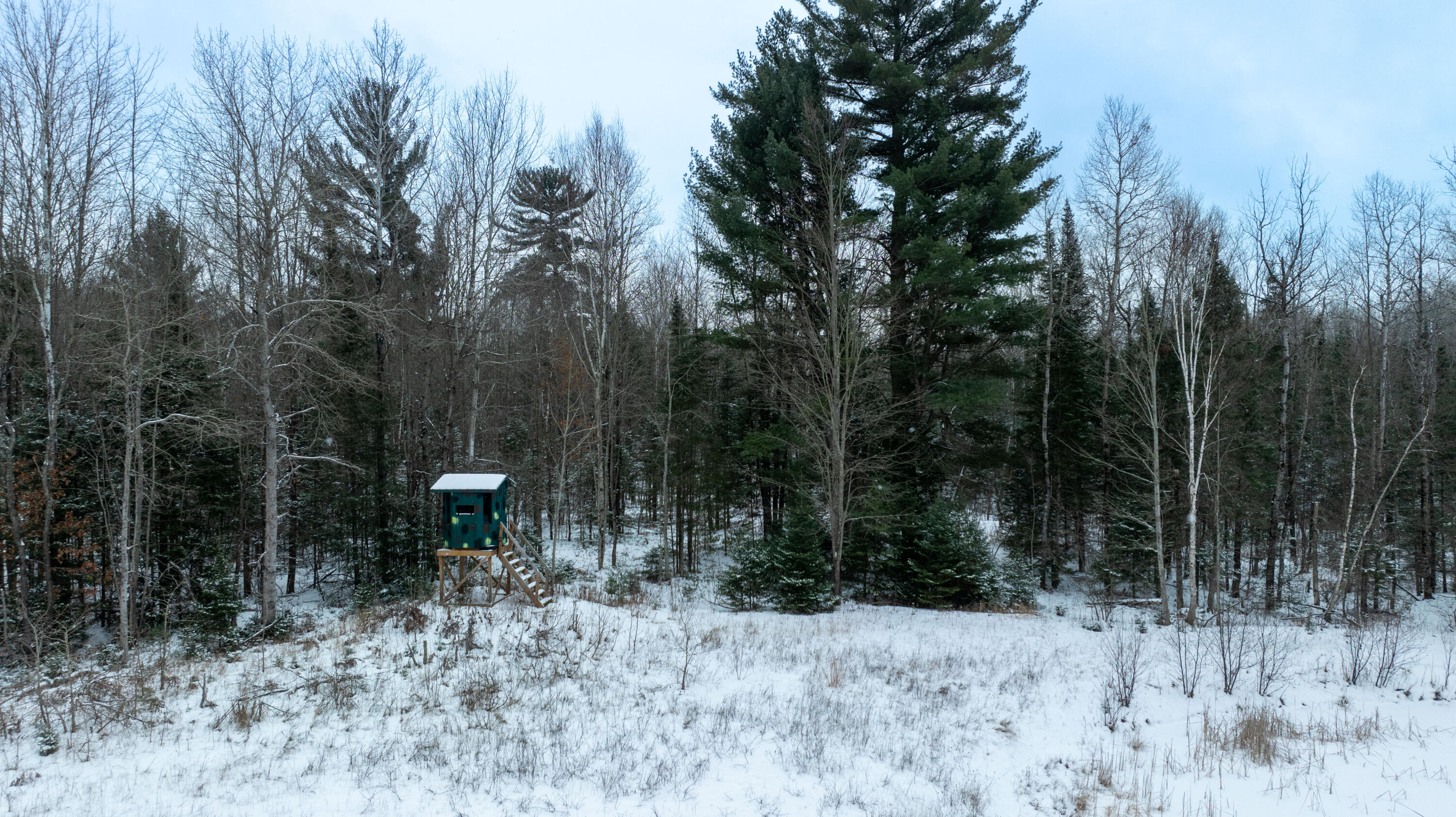 1570 Ryno Road Luzerne, MI 48636 - Photo 12 of 55 2-2