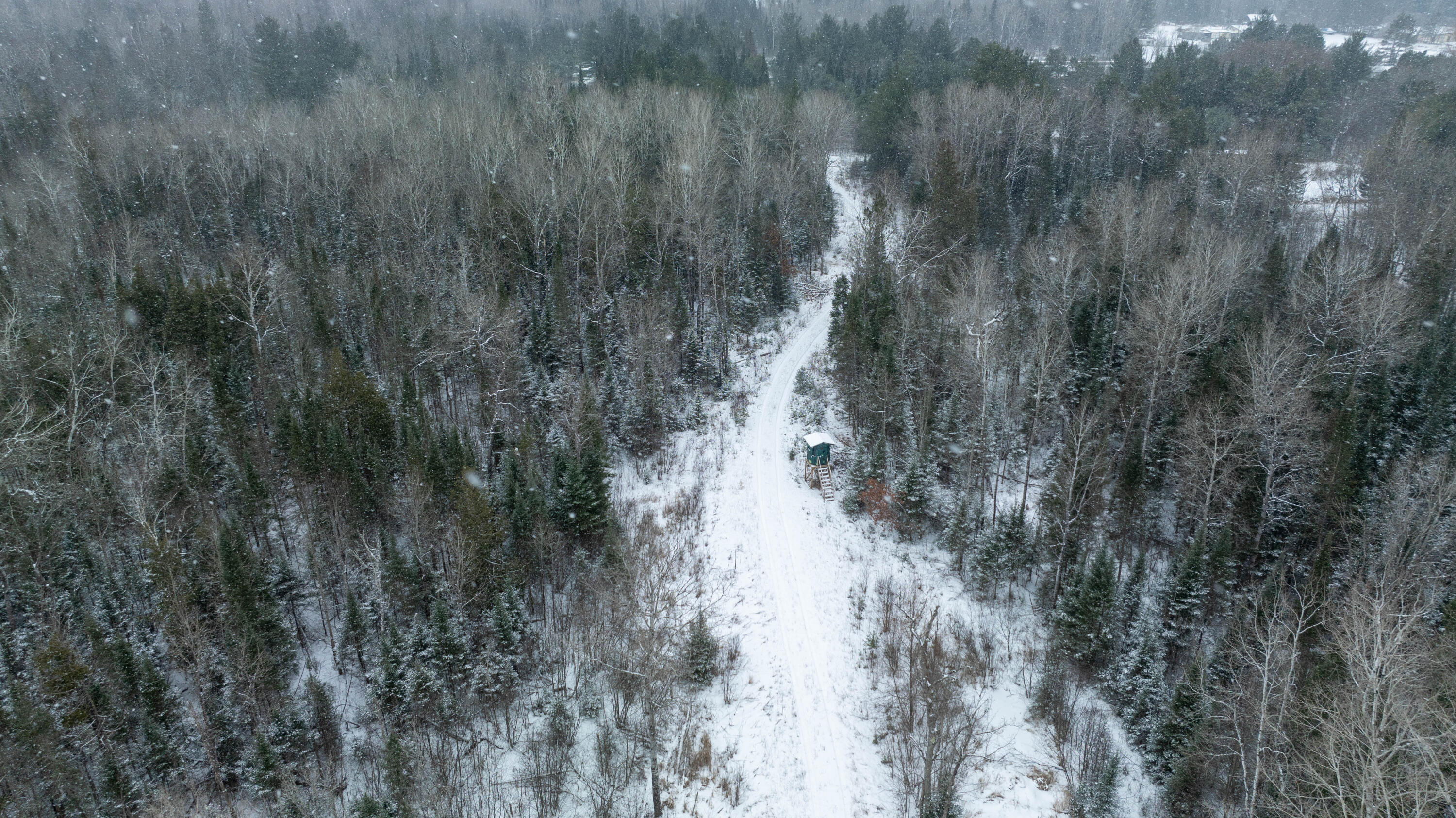 1570 Ryno Road Luzerne, MI 48636 - Photo 13 of 55 2-15