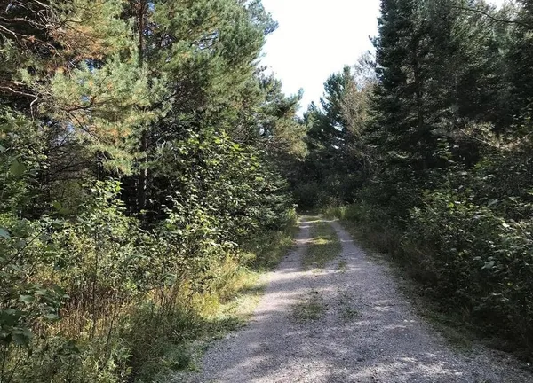 $274,900 | 1570 Ryno Road, Luzerne, MI 48636