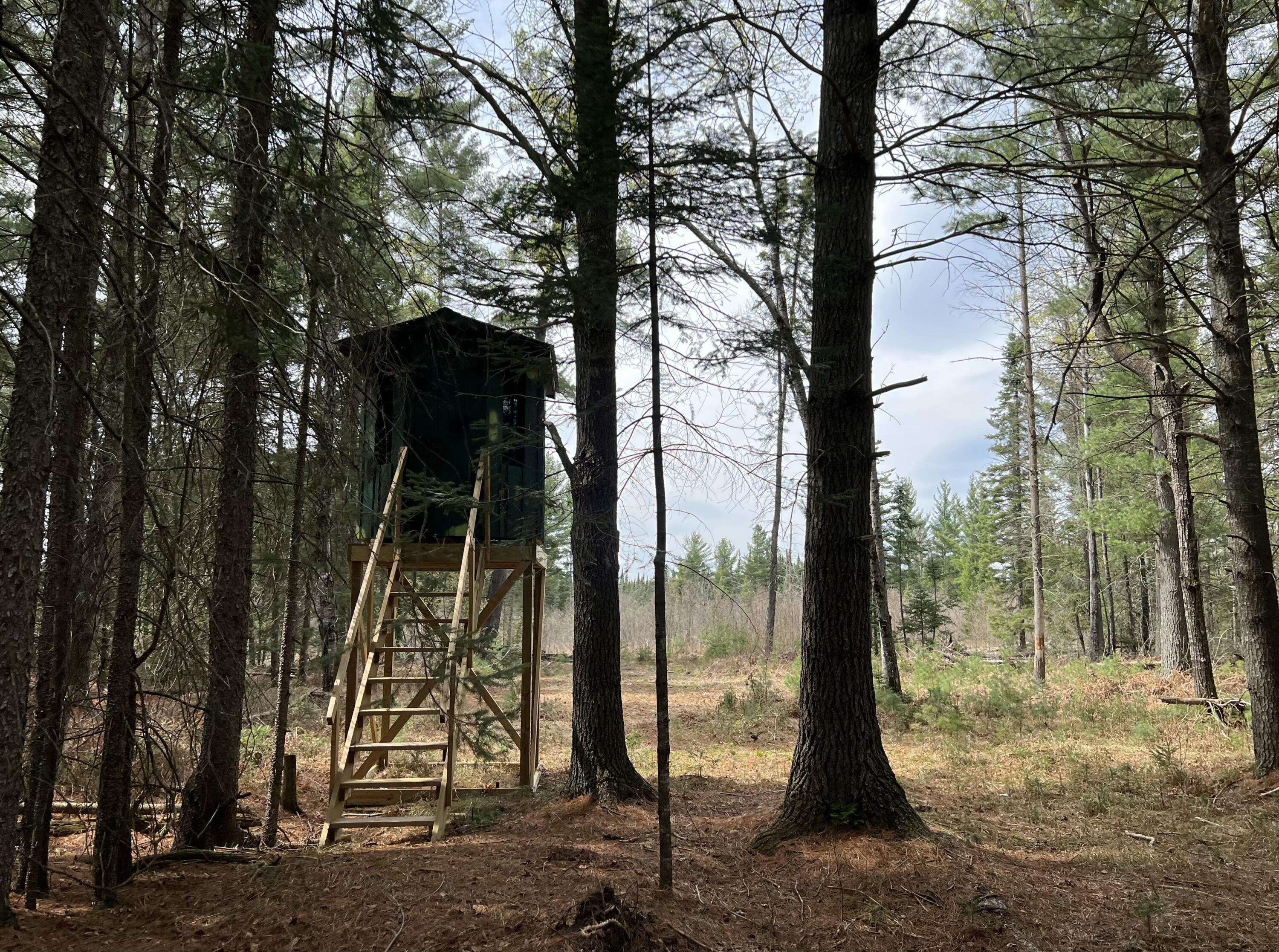 1570 Ryno Road Luzerne, MI 48636 - Photo 44 of 55 27