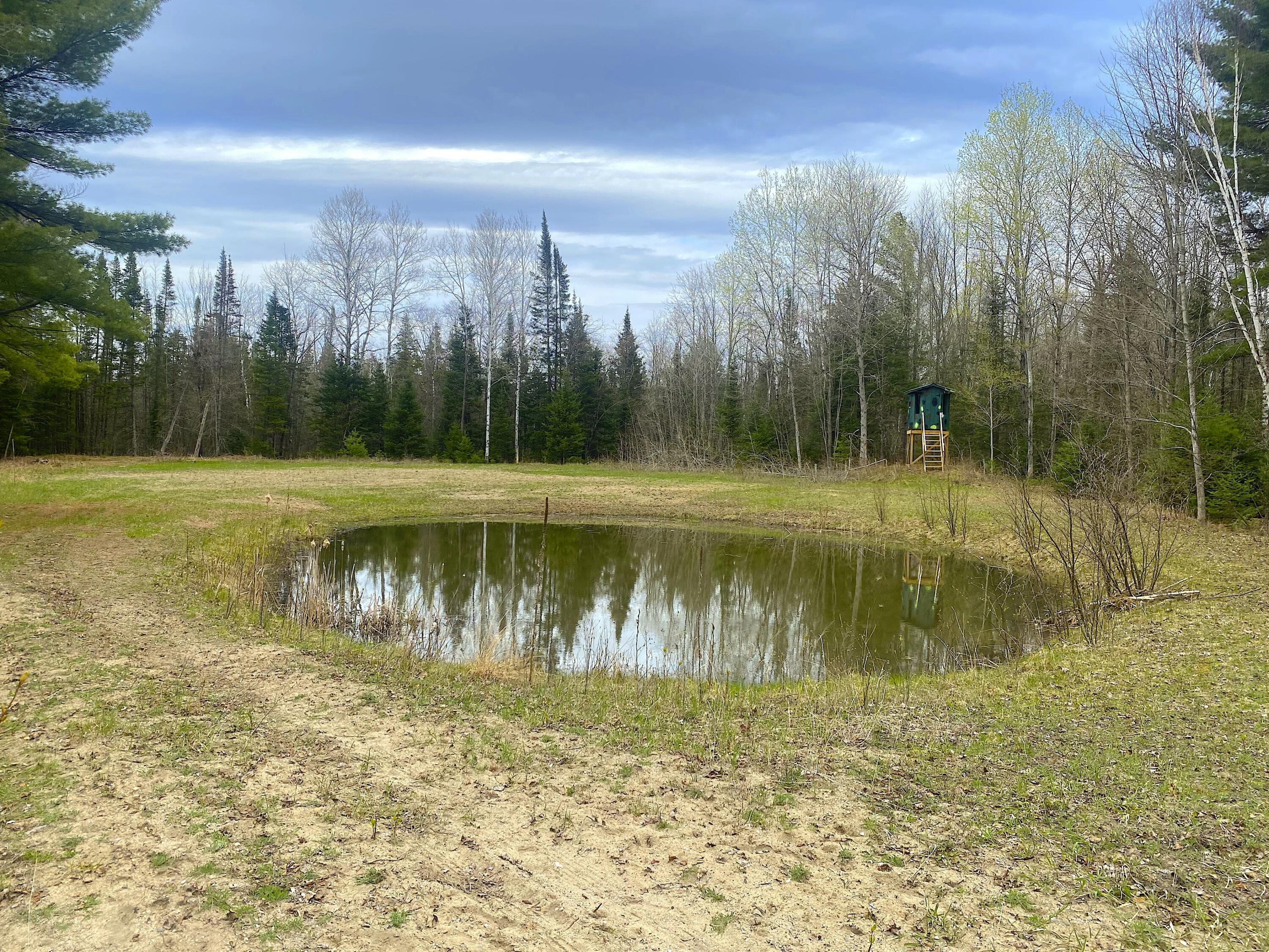 1570 Ryno Road Luzerne, MI 48636 - Photo 45 of 55 29