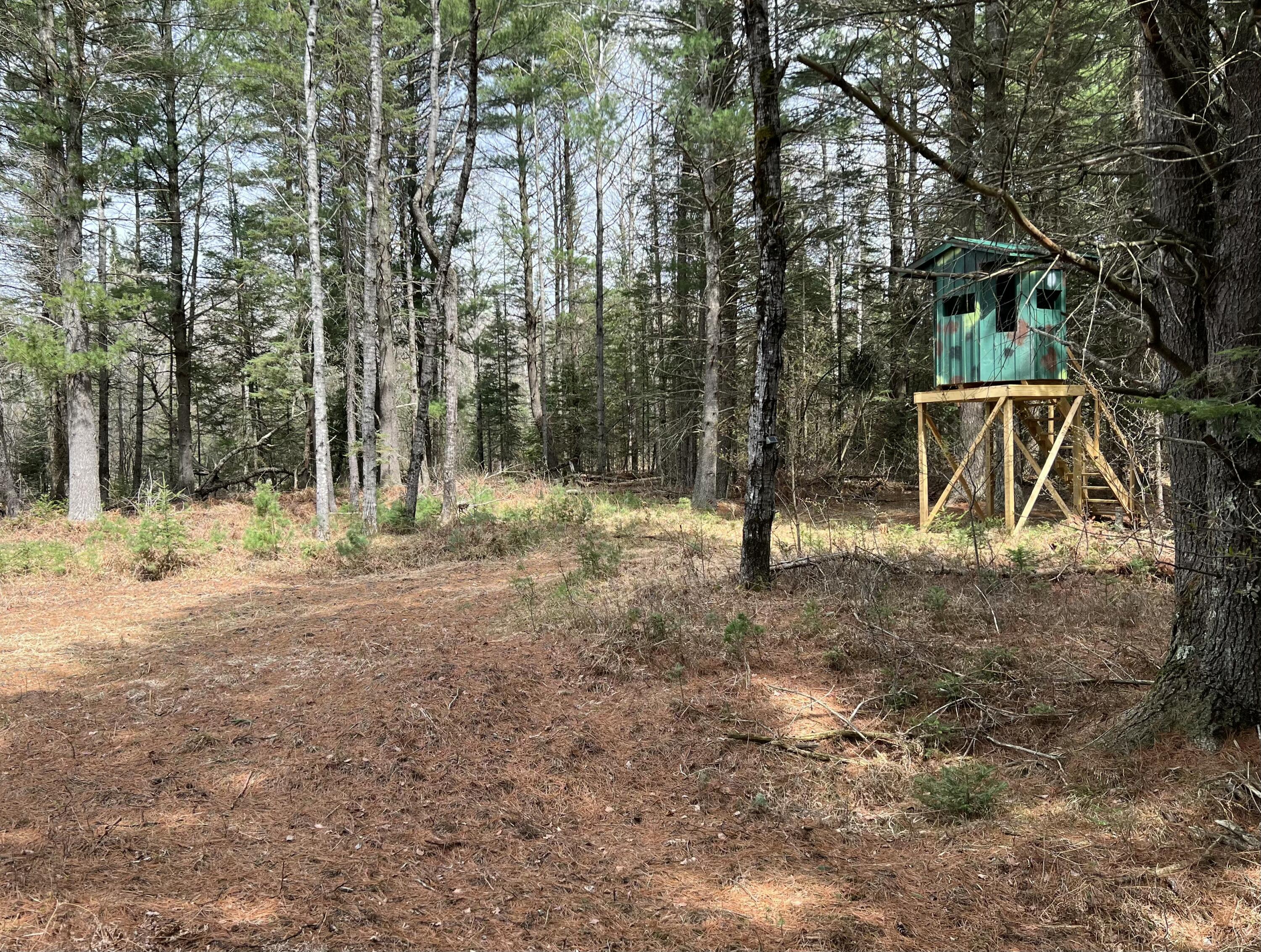 1570 Ryno Road Luzerne, MI 48636 - Photo 50 of 55 26