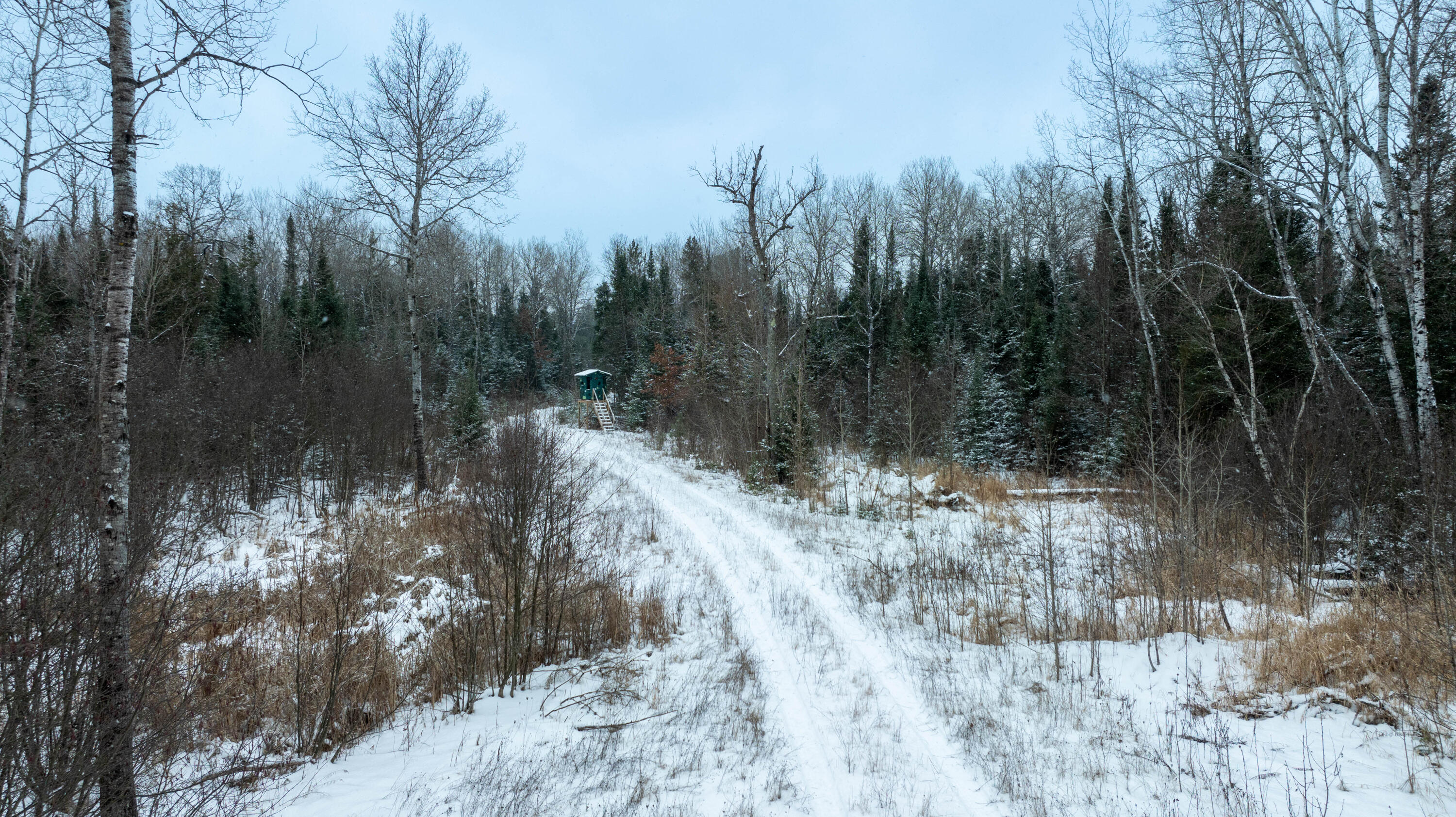 1570 Ryno Road Luzerne, MI 48636 - Photo 5 of 55 2-12