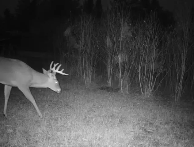 $274,900 | 1570 Ryno Road, Luzerne, MI 48636